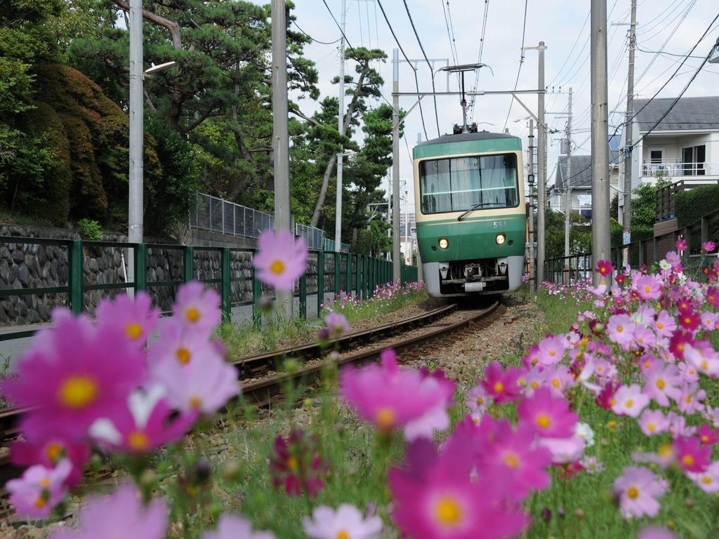 Sotetsu Fresa Inn Fujisawa Shonandai Ngoại thất bức ảnh